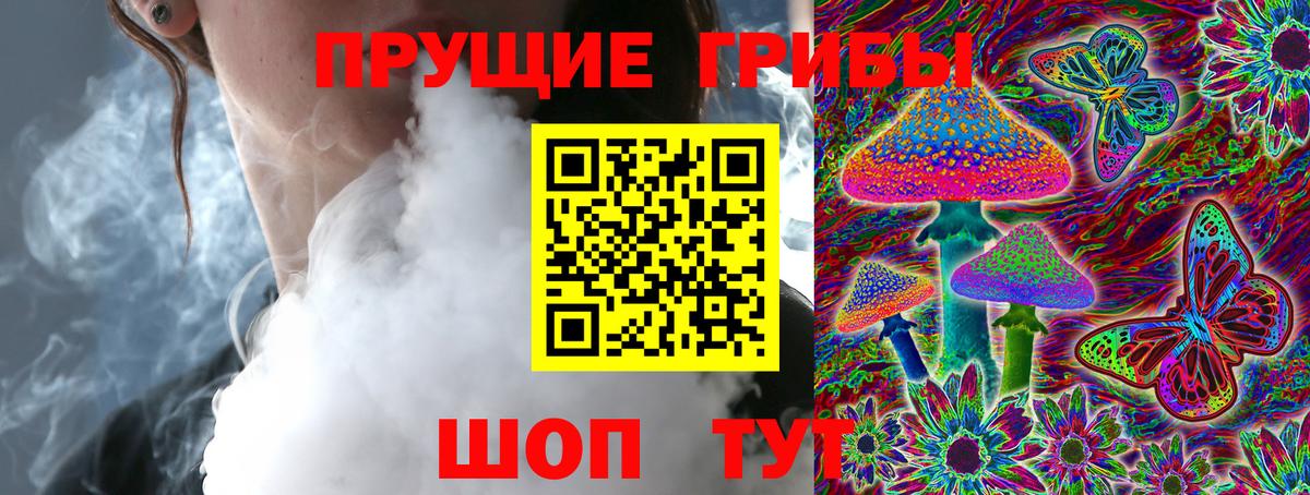 Галлюциногенные грибы MAGIC MUSHROOMS  Галлюциногенные грибы Psilocybine cubensis  Новокубанск  Вход с VPN 